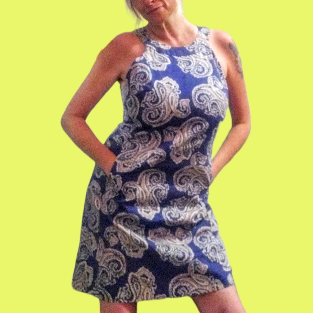 Ann Taylor dress size 10p